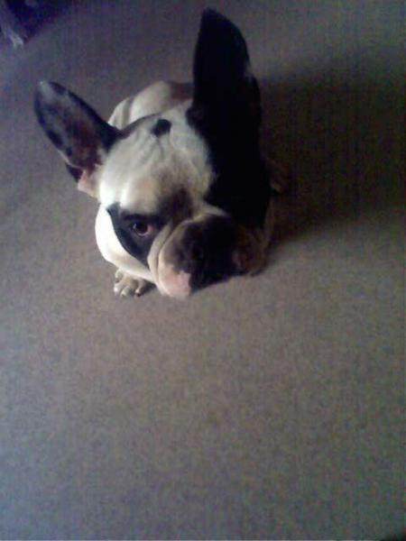 a mon doudou!